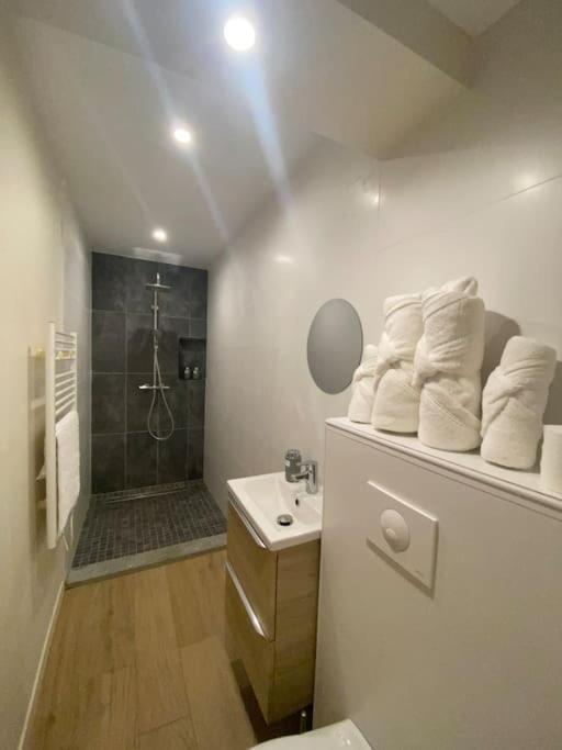 Appartement T2 Spacieux Et Equipe Mions Luaran gambar
